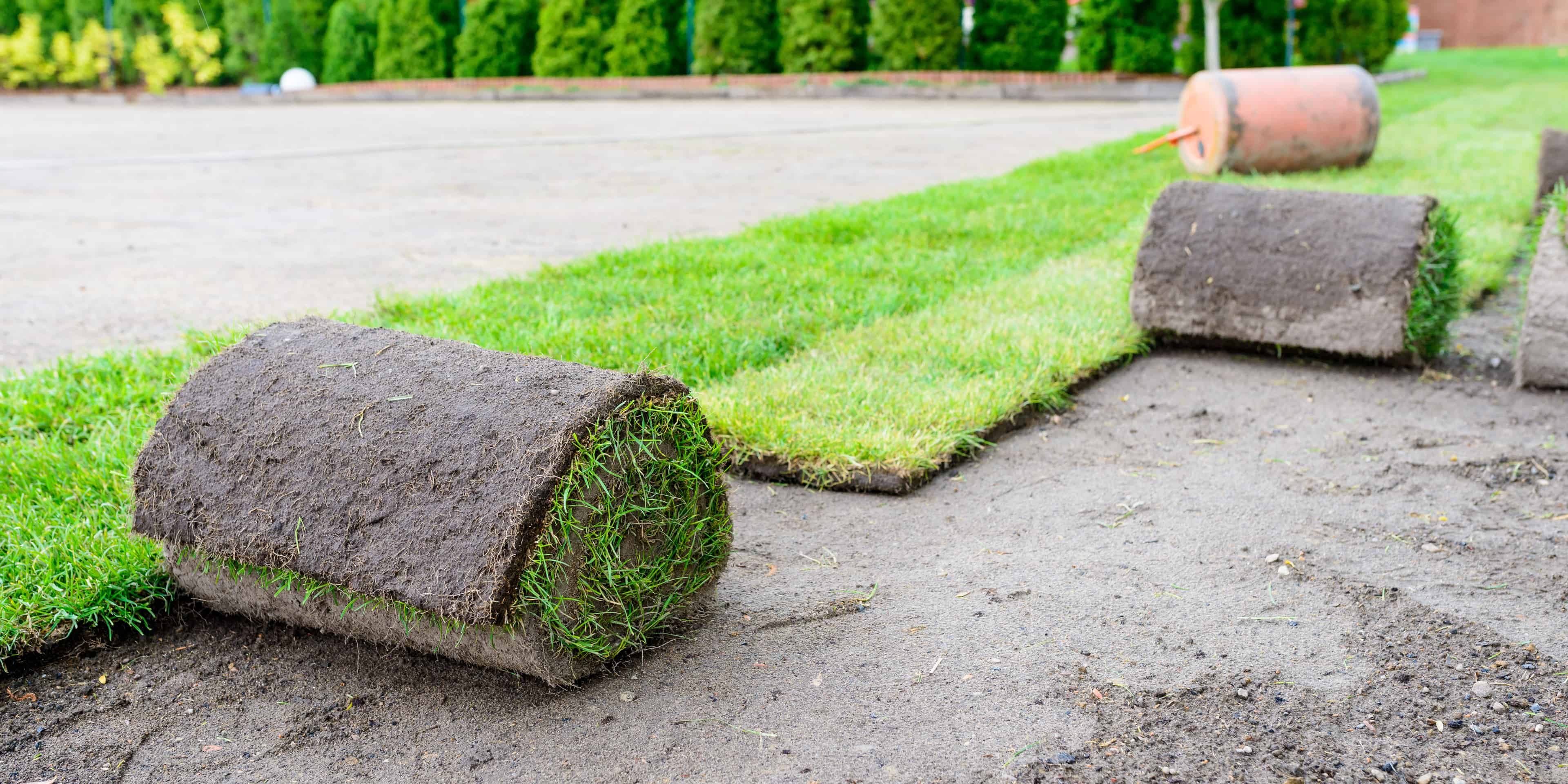 Sod Installation image