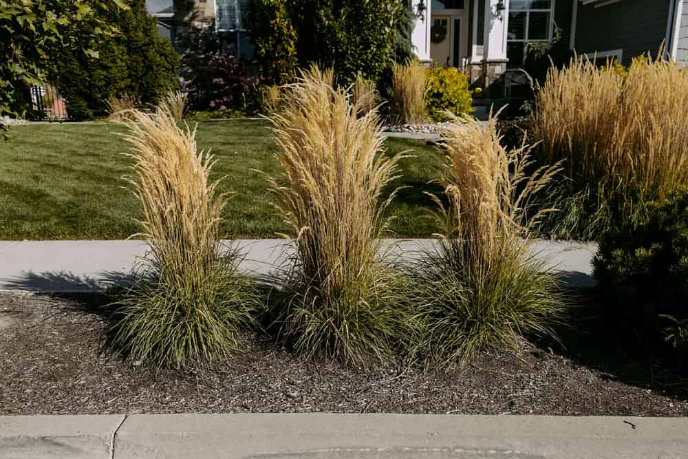 Planting Services image