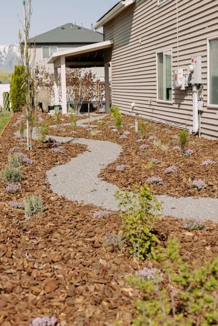 Project Transform Your Yard with Eco-Friendly Xeriscaping image